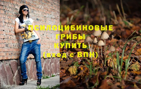гашик Лабытнанги