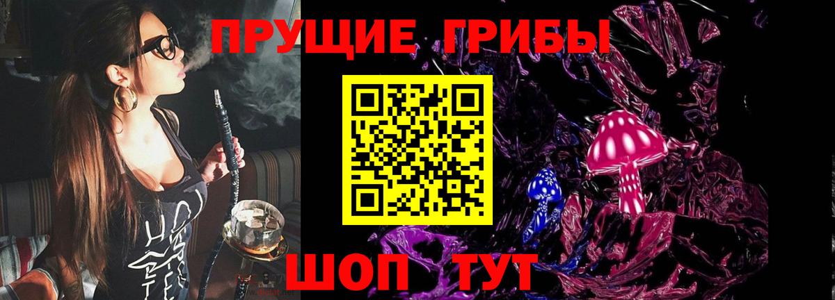 Галлюциногенные грибы Psilocybine cubensis Маркс